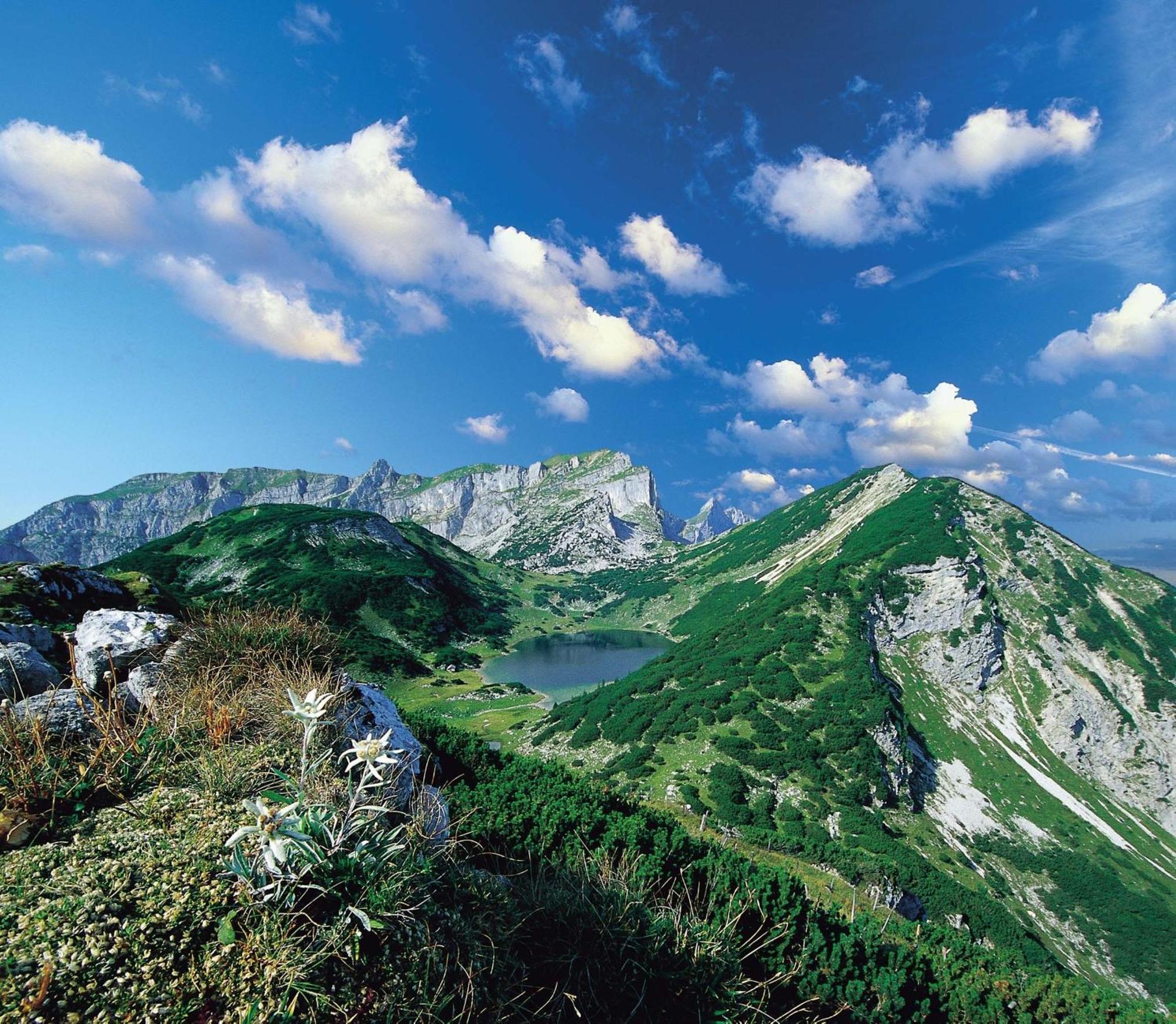 Hotel Neuwirt Brandenberg Εξωτερικό φωτογραφία